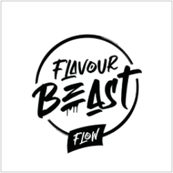 Flavour Beast Flow 4000